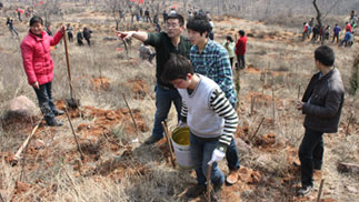 ���·ݽ���ֲ���