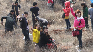 ���·ݽ���ֲ���