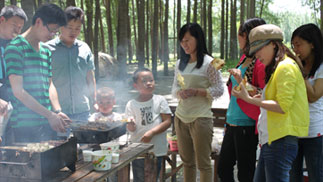 2013��5�½����տ��Լ���